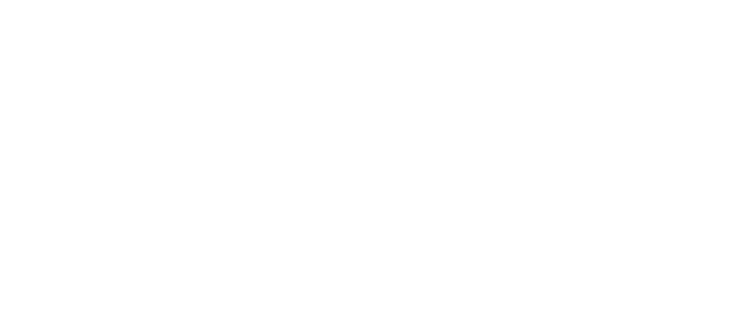 Silver sponsor logo