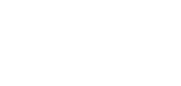 Silver sponsor logo